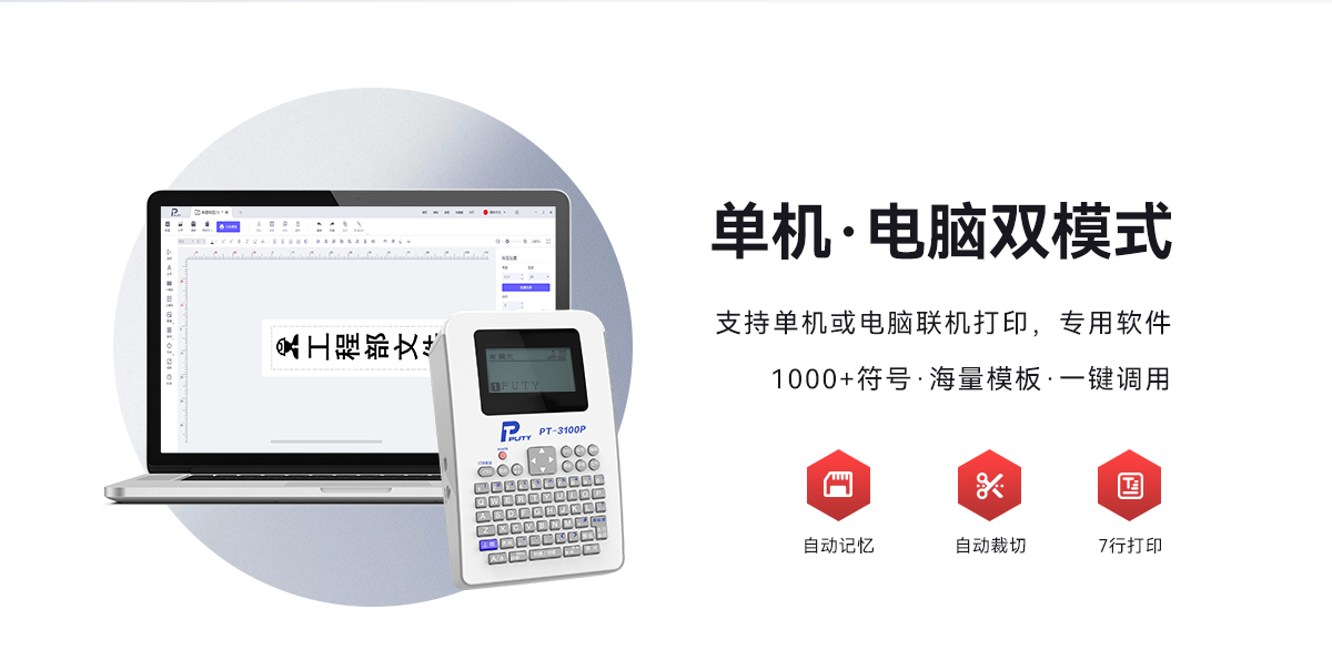 PT-3100P(图2)