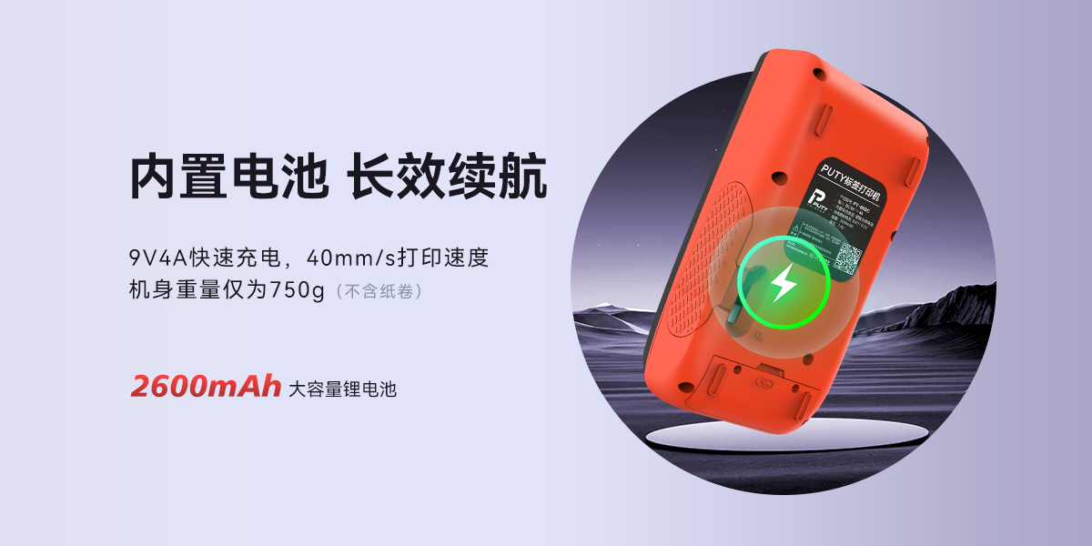 PT-66DC(图4)